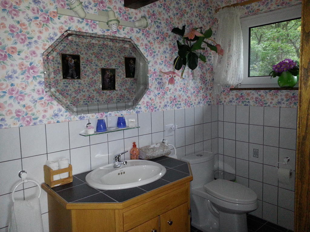 Chalet Rosemarie Nobel Oda fotoğraf
